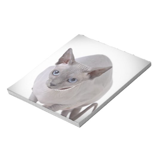 Sphynx猫 ノートパッド (回転)