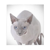 Sphynx猫 ノートパッド (正面)