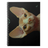 sphynx猫 ノートブック (正面)