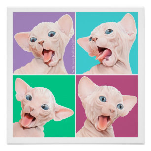 Sphynx猫 ポスター