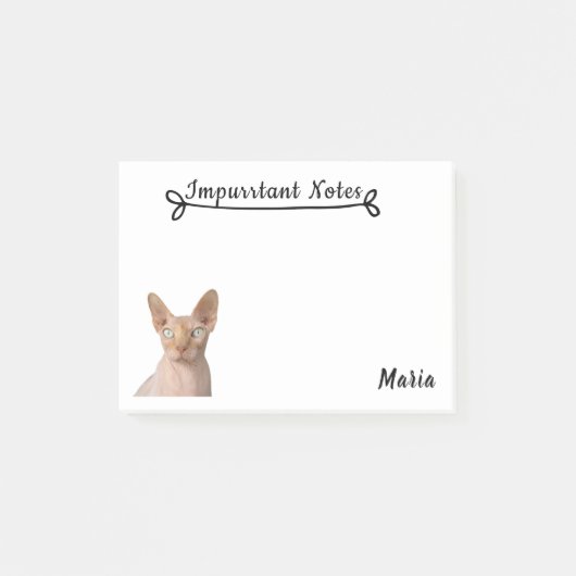 Sphynx猫 ポストイット (正面)