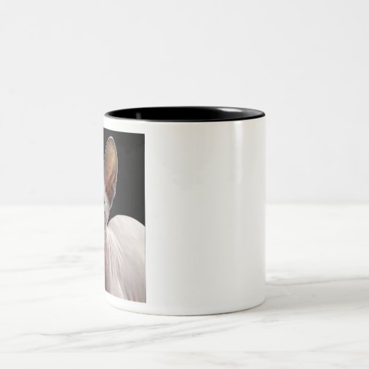 Sphynx ツートーンマグカップ (中央)