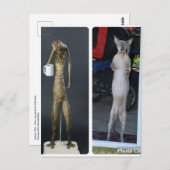 Sphynx -間抜け GibsとMiBエイリアンはがき ポストカード (正面/裏面)