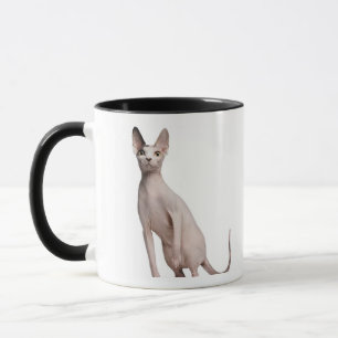 Sphynx (13か月古い) マグカップ