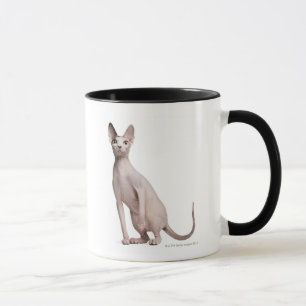 Sphynx (13か月古い) マグカップ