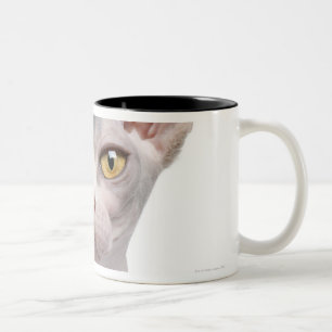 Sphynx (7か月古い) ツートーンマグカップ