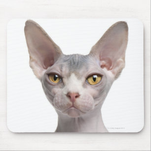 Sphynx (7か月古い) マウスパッド
