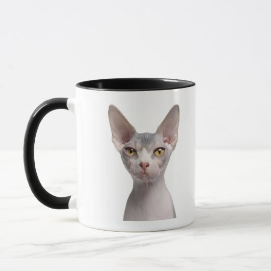 Sphynx (7か月古い) マグカップ (左)