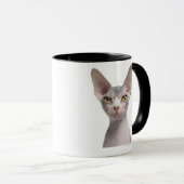 Sphynx (7か月古い) マグカップ (正面右)