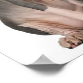 Sphynx （7ヶ月）座って ポスター (角)