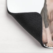 Sphynx （7ヶ月）座って マウスパッド (コーナー)