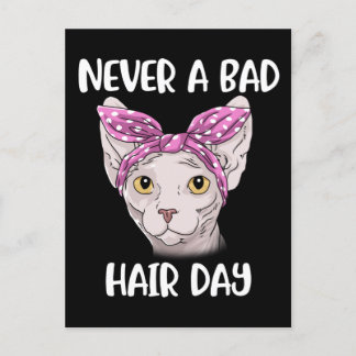 Sphynx Catの女性と男性への贈り物 ポストカード