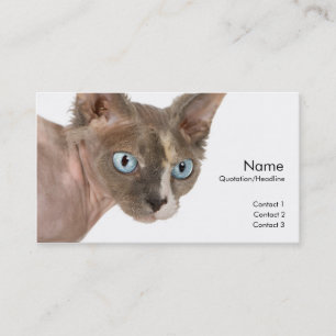 Sphynx Catプロファイルカード 名刺