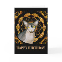 Sphynx Cat忍者ヴィンテージスタイルBlack金ゴールド誕生日