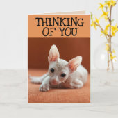 SPHYNX CAT'考え's OF YOUグリーティングカード カード (黄色い花)