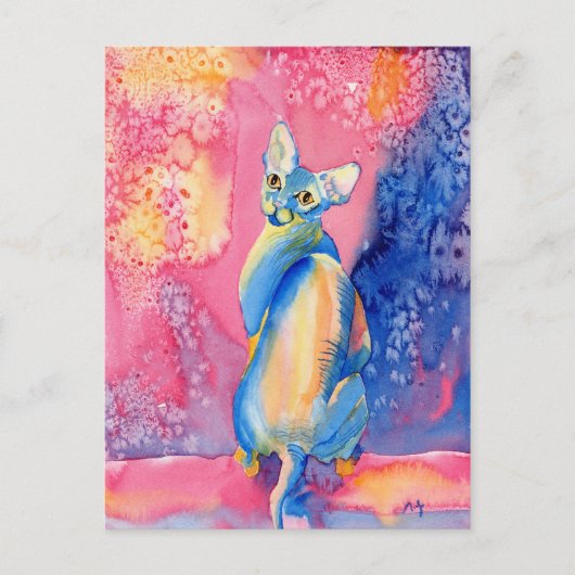 Sphynx Cat #2はがき ポストカード (正面)