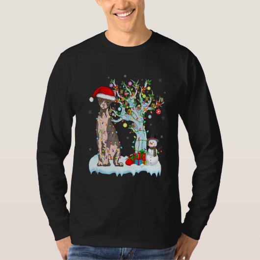 Sphynx Cat Christmas Light Santas Hat Snowman Matc Tシャツ (正面)