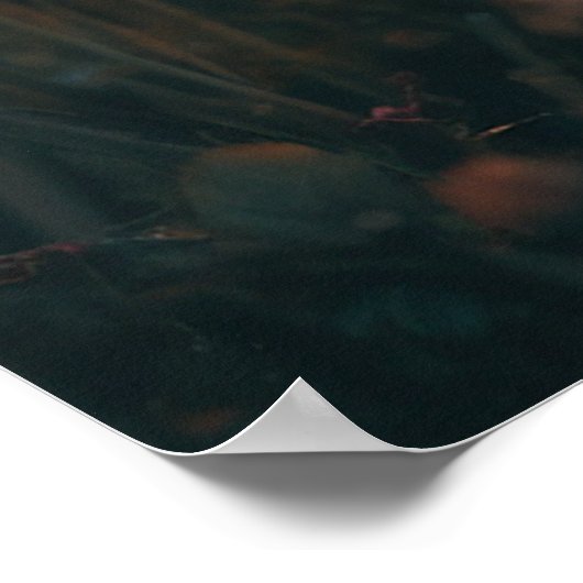 Sphynx Cat Gazing Sky – Vibrant Floral Art ポスター (角)