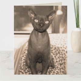 Sphynx DevonレックスCat Large Sepia Photograph カード