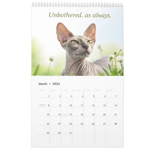 Sphynx Speaks: Editable Monthly Cat Humor Art カレンダー (3月 2026)