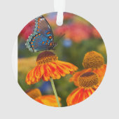 Spicebushのアゲハチョウ、Papilioのtroilus オーナメント (裏面)