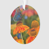 Spicebushのアゲハチョウ、Papilioのtroilus オーナメント (正面)