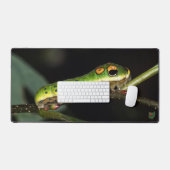 Spicebush Swallowtail Caterpillar デスクマット (キーボード&マウス)