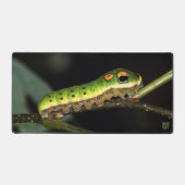 Spicebush Swallowtail Caterpillar デスクマット (正面)