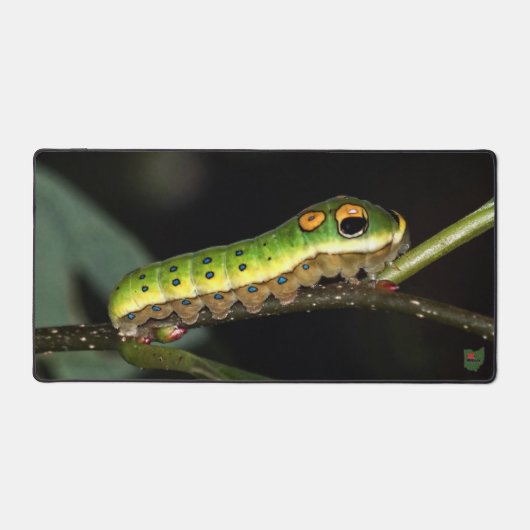 Spicebush Swallowtail Caterpillar デスクマット (正面)