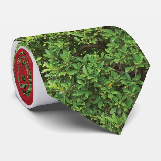 Spicer ネクタイ (ロール)