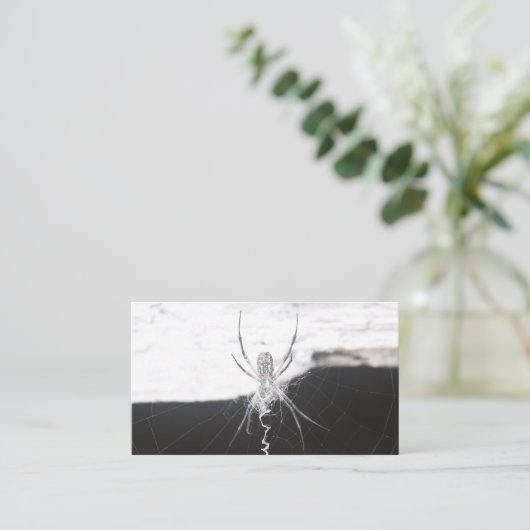 Spider名刺 名刺 (スタンド正面)