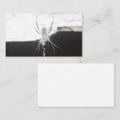 Spider名刺 名刺 (正面/裏面)