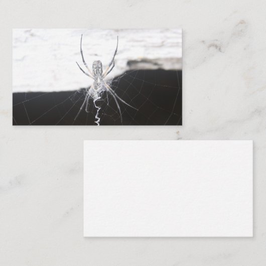 Spider名刺 名刺 (正面/裏面)
