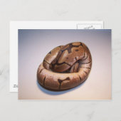 Spider Ball Python Pythonはがき ポストカード (正面/裏面)