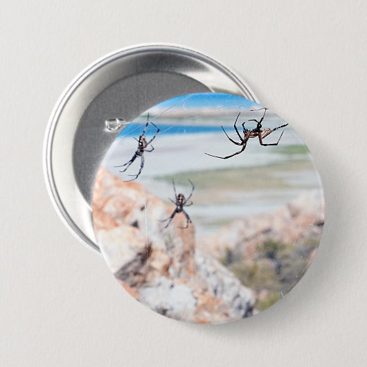 Spider City - Hangin Around 缶バッジ (正面&裏面)