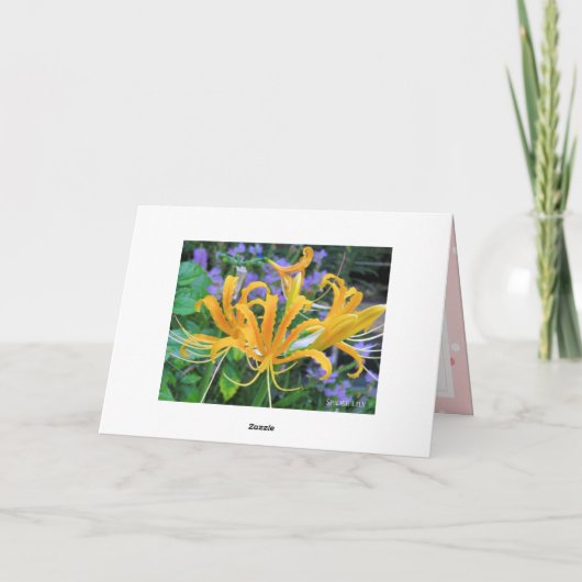 Spider Lily カード (裏面)