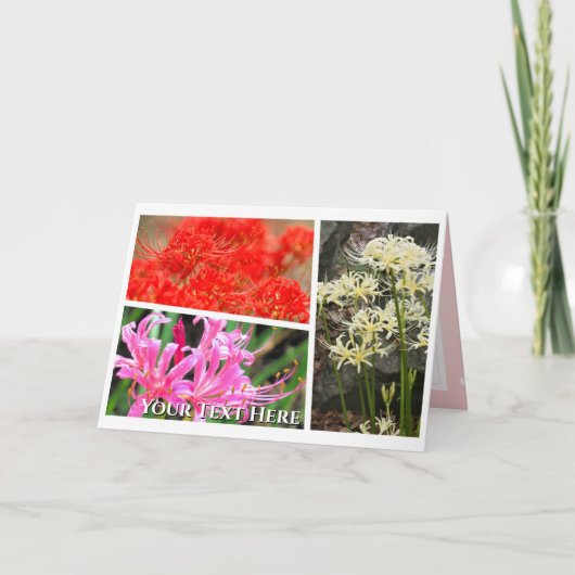 Spider Lily カード (正面)