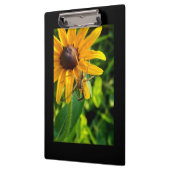Spider on a Sunflower Clipboard クリップボード (左)