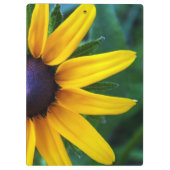 Spider on a Sunflower Clipboard クリップボード (裏面)