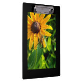 Spider on a Sunflower Clipboard クリップボード (右)