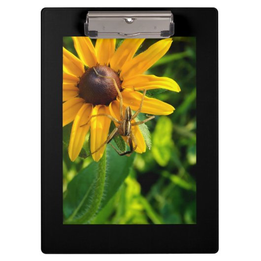 Spider on a Sunflower Clipboard クリップボード (正面)