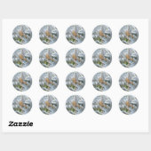 Spider on Dusty Miller Stickers ラウンドシール (シート)