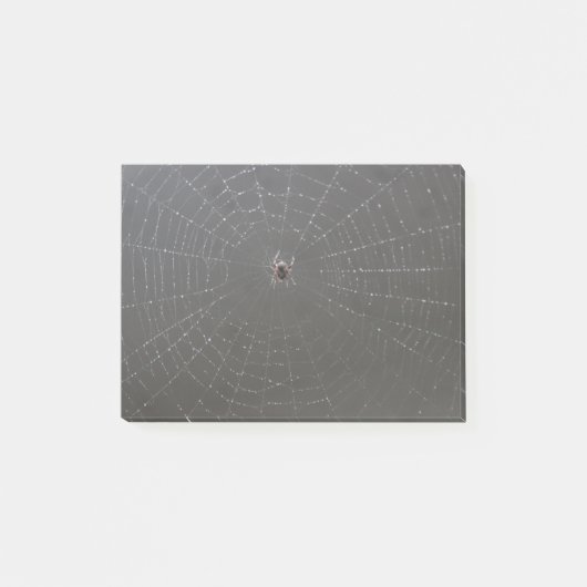 Spider Post it Notes ポストイット (正面)