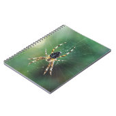 Spider Spiderノートブック（80ページB&W） ノートブック (左側)