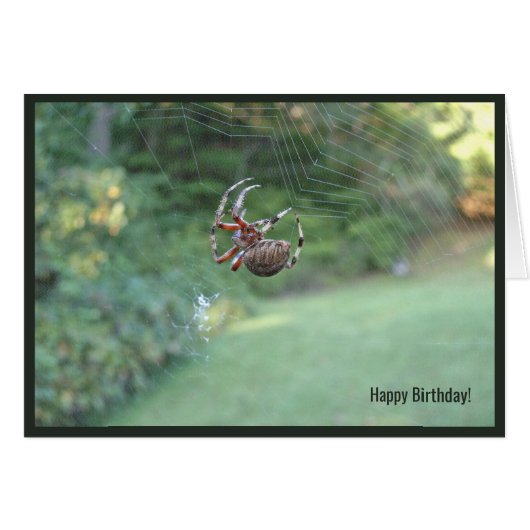 Spider Webインターネット誕生日グリーティングカード (正面横)