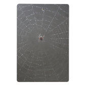 Spider Webクリップボード ミニクリップボード (裏面)