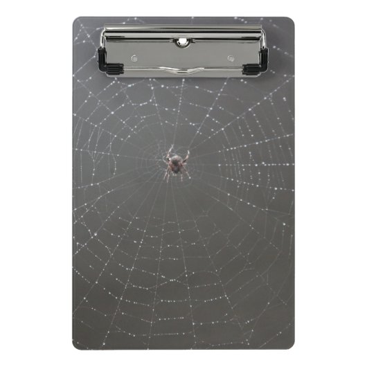 Spider Webクリップボード ミニクリップボード (正面)