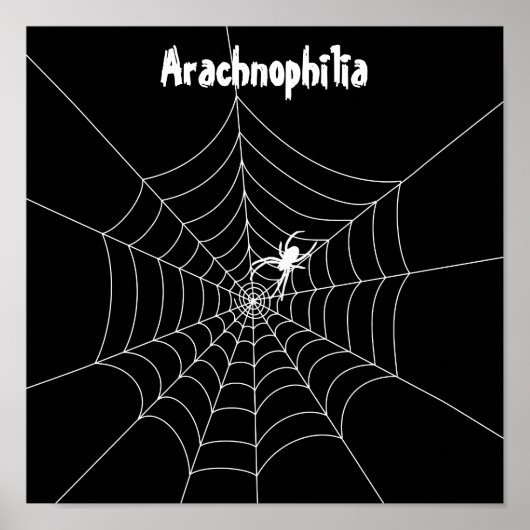 Spider Webポスター ポスター (正面)