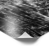 Spider Web白黒自然ファインアート フォトプリント (角)