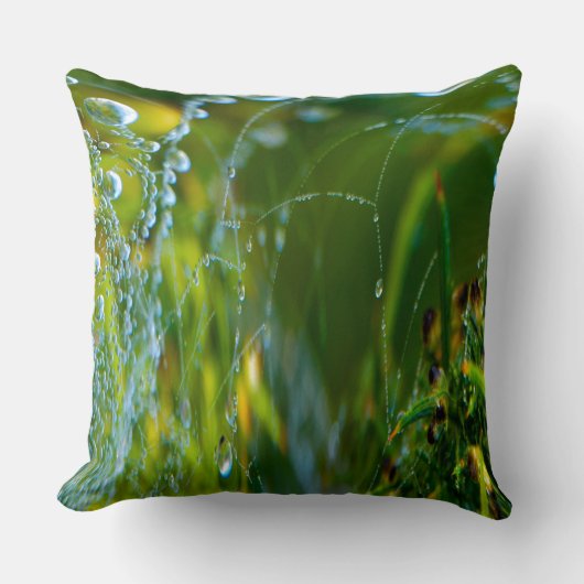 Spider Web装飾用クッション クッション (正面)